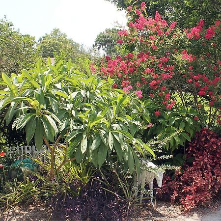 مونت دورا Heron Cay Lakeview Bed & Breakfast المظهر الخارجي الصورة