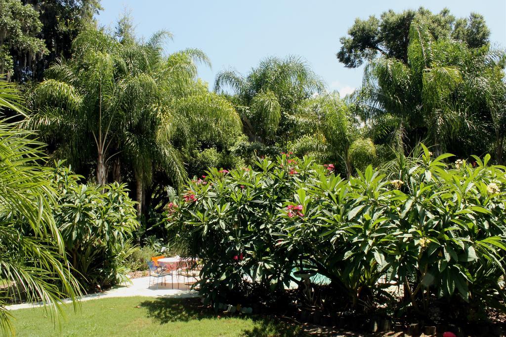 مونت دورا Heron Cay Lakeview Bed & Breakfast المظهر الخارجي الصورة