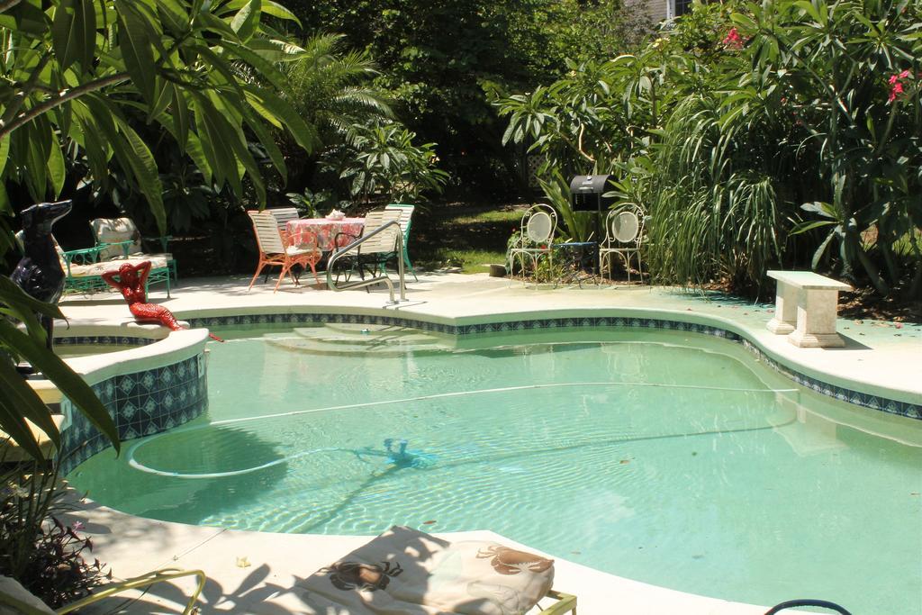 مونت دورا Heron Cay Lakeview Bed & Breakfast المظهر الخارجي الصورة