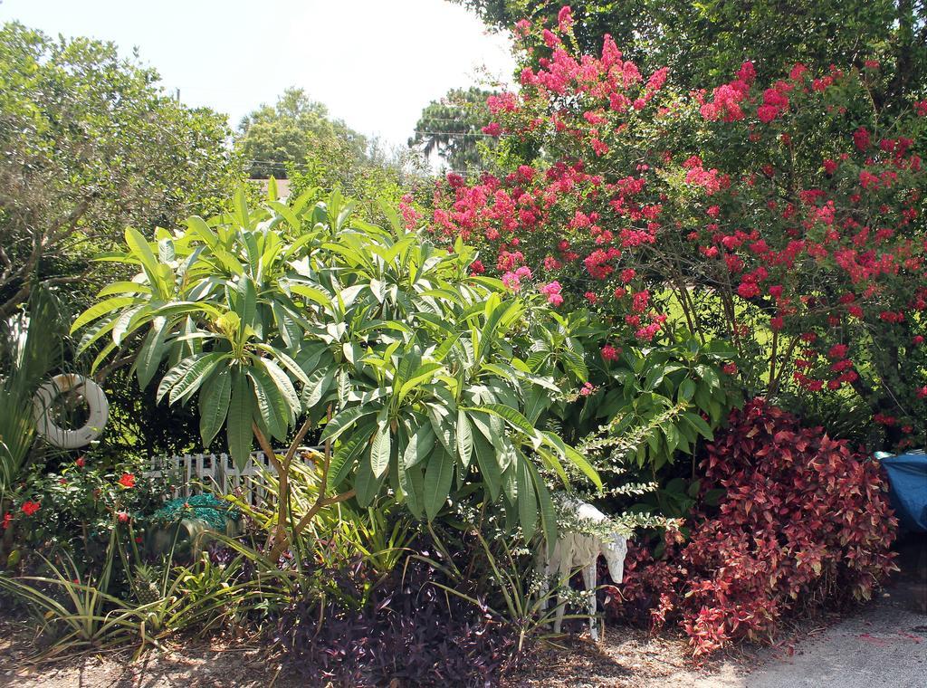 مونت دورا Heron Cay Lakeview Bed & Breakfast المظهر الخارجي الصورة