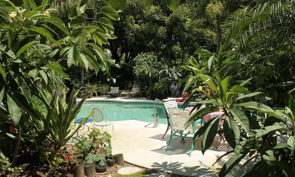 مونت دورا Heron Cay Lakeview Bed & Breakfast المظهر الخارجي الصورة