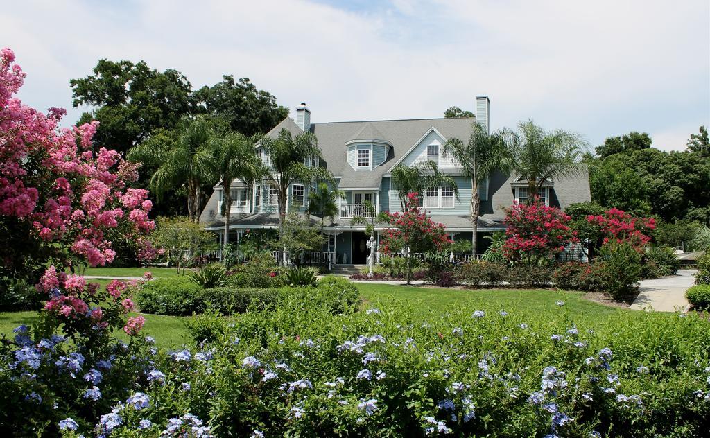 مونت دورا Heron Cay Lakeview Bed & Breakfast المظهر الخارجي الصورة